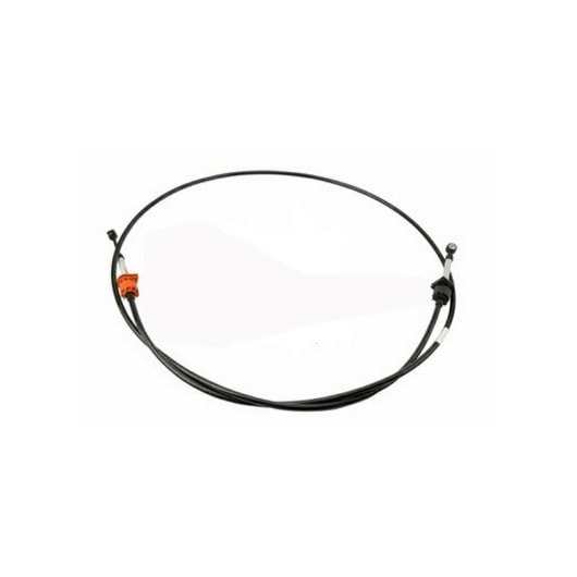 image_5b77c09d-523d-4f6b-afb4-17203dcc5c6a