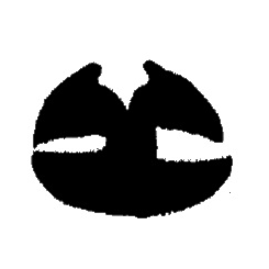 BORRACHA VIDRO ITINERARIO BUSSCAR URBANUSS UAI 11847