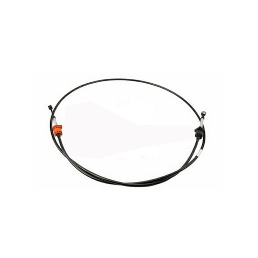 image_cfe8ab44-cb6b-4c32-8468-f2c6ab1b636f