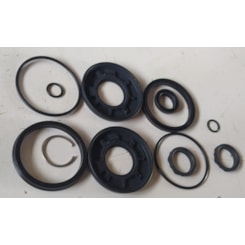 KIT REPARO PISTAO ABERTURA ELEVADOR ORTOBRAS 116497