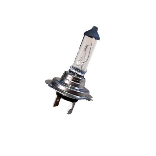 image_2972c8d2-cc5c-461b-bc7b-f90cb28b8442