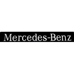 LETREIRO LATERAL MERCEDES BENZ RESINADO 6648276214