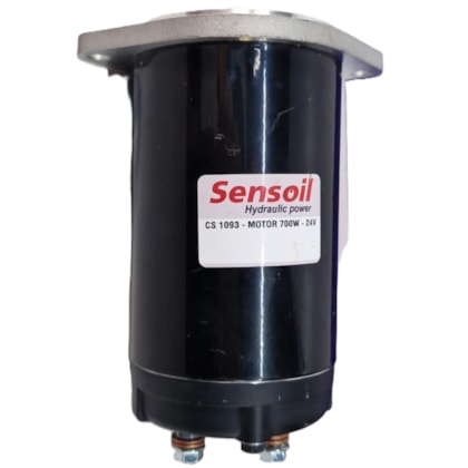 MOTOR ELETRICO ELEVADOR ORTOBRAS 24V 08 KW 20014899