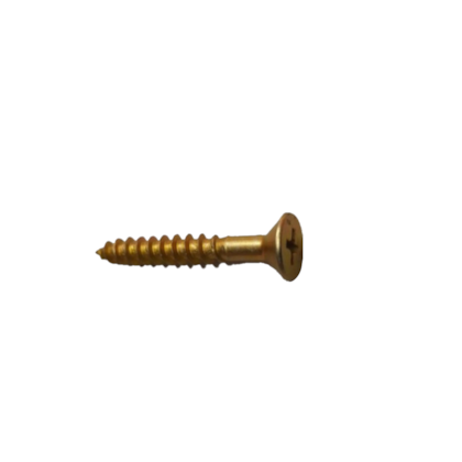 PARAFUSO PHILIPS GARRA BI PARTIDA EM0001PMFS 880014