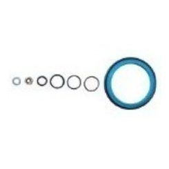 REPARO COMPLETO VALVULAS EVACUACAO AP100441
